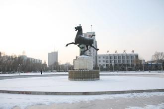 朔州市政協召開朔州市“十三五”規(guī)劃專題民主協商會