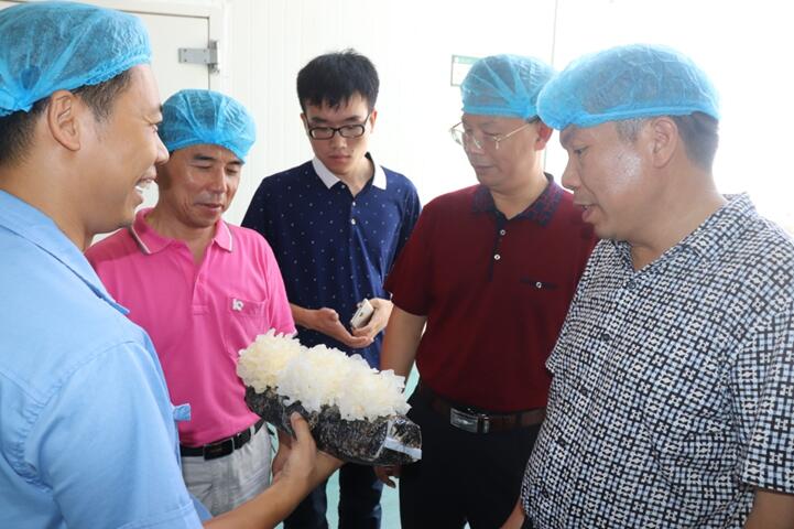 “湘軍故里，鋼鐵新城”我院助力婁底市開啟創(chuàng)新發(fā)展新篇章