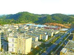 中山：加快建設(shè)東升脆肉鯇、橫欄花木省級(jí)現(xiàn)代農(nóng)業(yè)產(chǎn)業(yè)園
