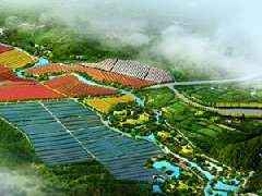 鄭州市工信局：積極構(gòu)建管城區(qū)、經(jīng)開區(qū)、中牟縣“兩區(qū)一縣”氫燃料電池汽車