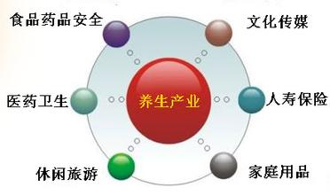 我國智慧健康養(yǎng)老產(chǎn)業(yè)運(yùn)營(yíng)模式探究