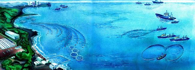 提升海洋科技成果轉化率 推進藍色經濟發(fā)展