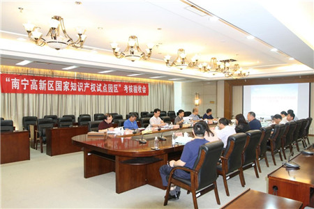 南寧高新區(qū)順利通過＂國家知識產(chǎn)權(quán)試點(diǎn)園區(qū)＂考核驗(yàn)收