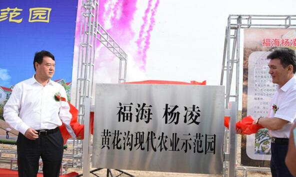 新疆福?？h攜手楊凌高新區(qū)打造中國(guó)高緯度農(nóng)業(yè)示范基地