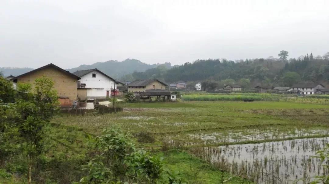 農(nóng)村土地確權(quán)結(jié)束，沒(méi)登記的四荒地如何處理？