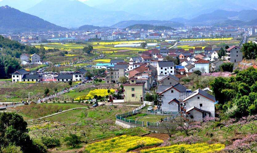 陳文勝：鄉(xiāng)村振興的資本、土地與制度邏輯