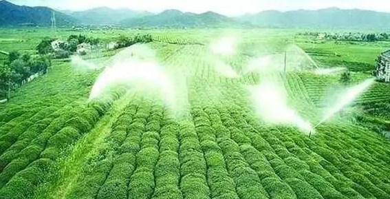 重磅！2019中央一號(hào)文件即將發(fā)布！大農(nóng)業(yè)領(lǐng)域迎來(lái)新機(jī)遇