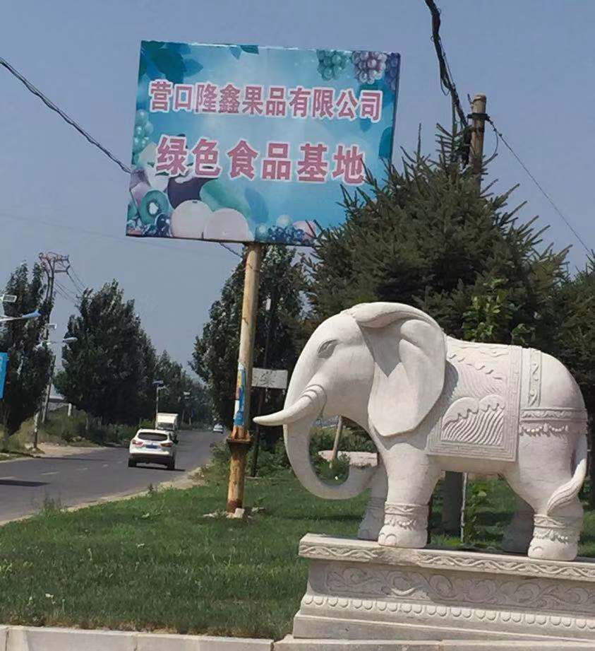 東北水果之鄉(xiāng)迎來發(fā)展新機遇，蓋州爭創(chuàng)省級現(xiàn)代農(nóng)業(yè)產(chǎn)業(yè)園