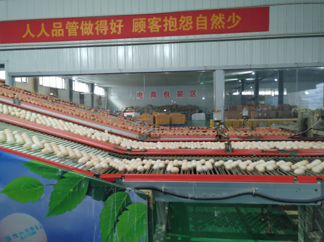 后稷故里，板棗之鄉(xiāng)——山西省稷山縣大力爭(zhēng)創(chuàng)國(guó)家現(xiàn)代農(nóng)業(yè)產(chǎn)業(yè)園