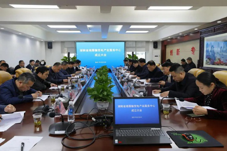 湘雁輸變電產(chǎn)業(yè)服務(wù)中心在長(zhǎng)沙成立，湖南輸變電產(chǎn)業(yè)開(kāi)啟發(fā)展新篇章