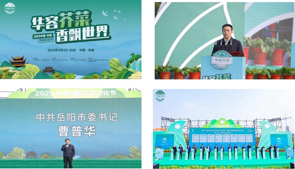 華容芥菜香飄四海，創(chuàng)建國家現代農業(yè)產業(yè)園恰逢其時