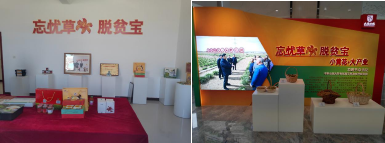 打造農(nóng)業(yè)綠色發(fā)展典范，云州區(qū)創(chuàng)建國家農(nóng)業(yè)綠色發(fā)展先行區(qū)勢在必行